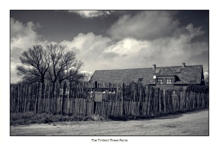 Fence photo