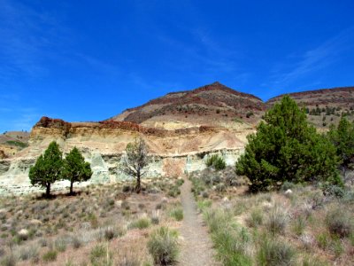 Flood of Fire Trail at John Day Fossil Beds in OR