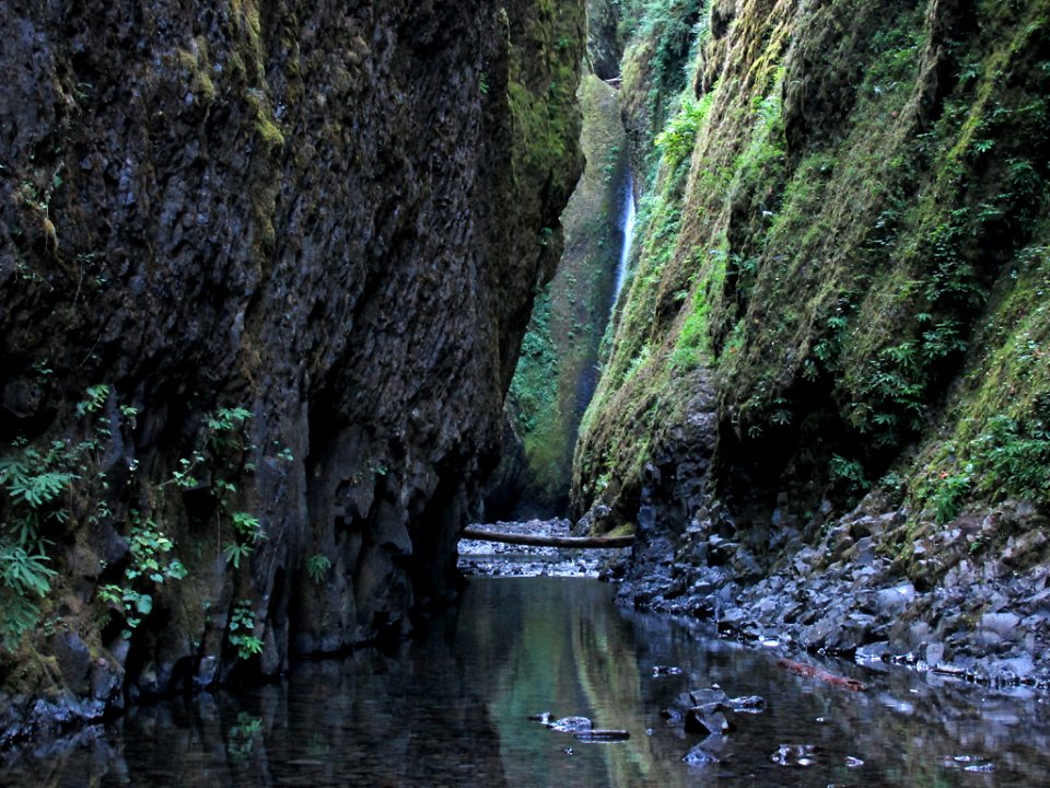 Oneonta Gorge at Columbia River Gorge in OR