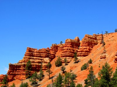 Dixie NF in UT