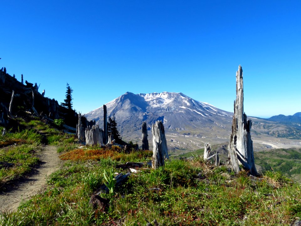 Mt. Margaret Backcountry in WA
