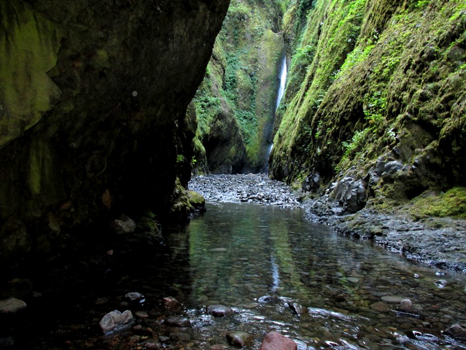 Oneonta Gorge at Columbia River Gorge in OR