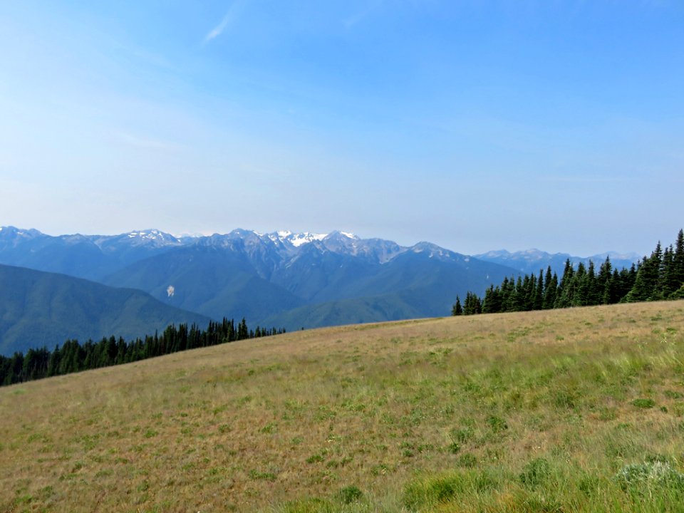 Hurricane Ridge at Olympic NP in Washington