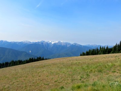 Hurricane Ridge at Olympic NP in Washington