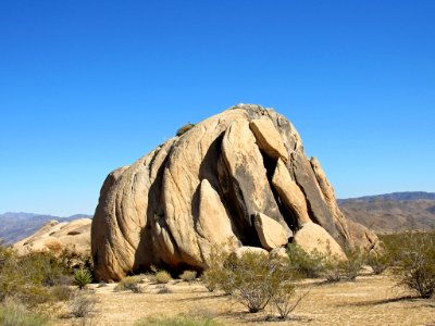 Joshua Tree NP in California photo