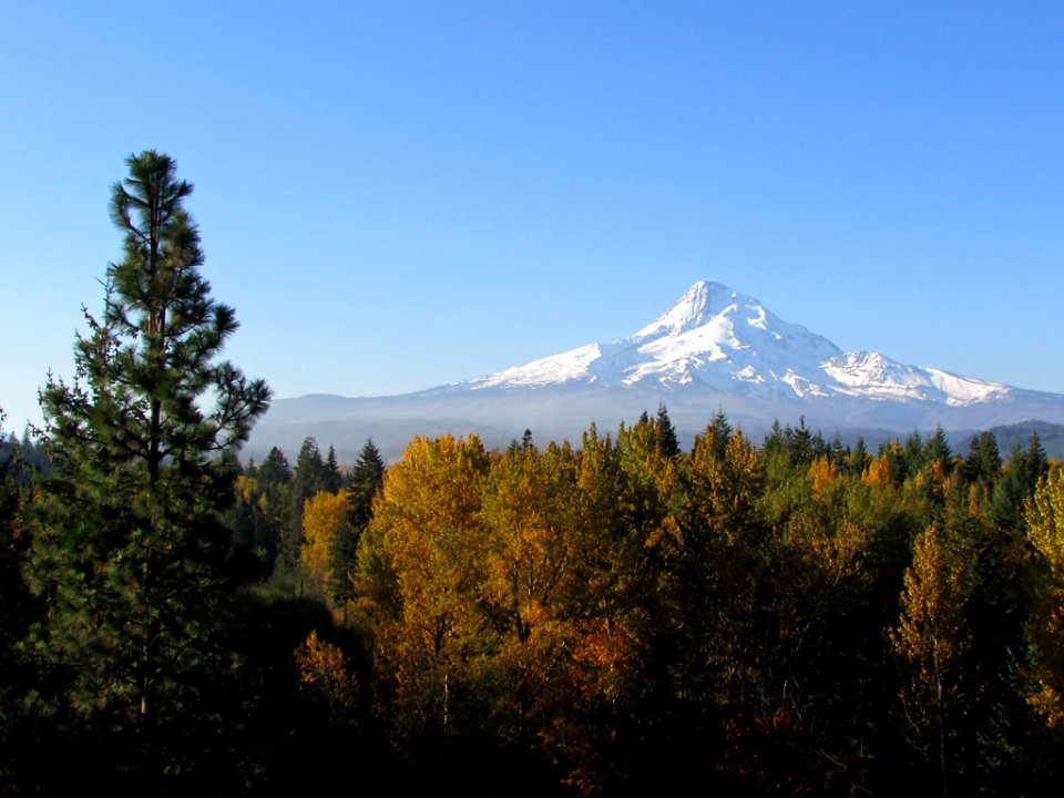 Autumn at Mt. Hood in OR