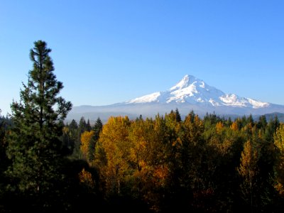 Autumn at Mt. Hood in OR