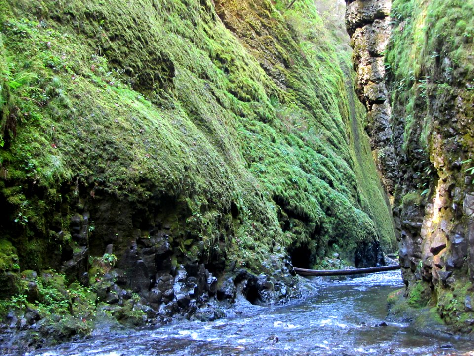 Oneonta Gorge at Columbia River Gorge in OR