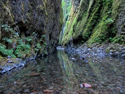 Oneonta Gorge at Columbia River Gorge in OR photo
