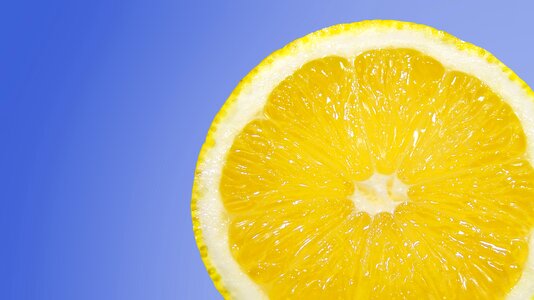 Citrus fruit citrus southern fruit