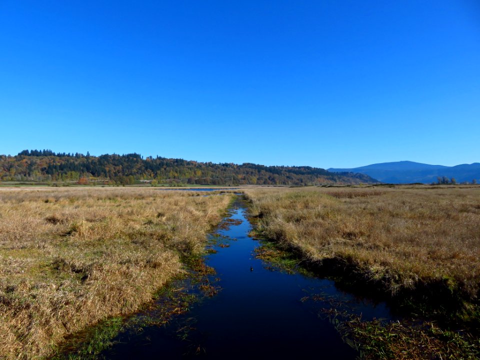 Autumn at Steigerwald Lake NWR in WA