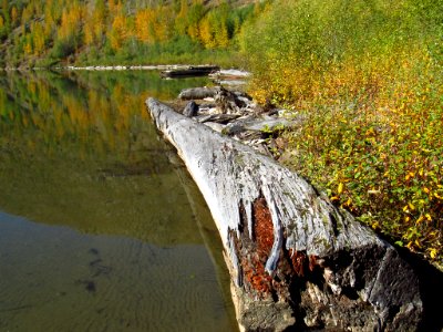 Coldwater Lake Loop Trail in WA
