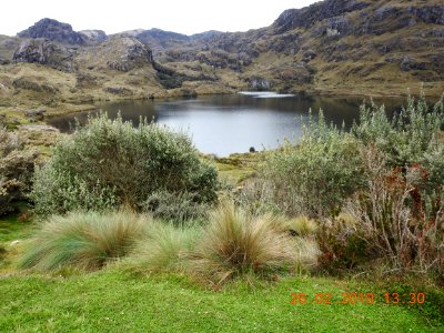 DSCN2622