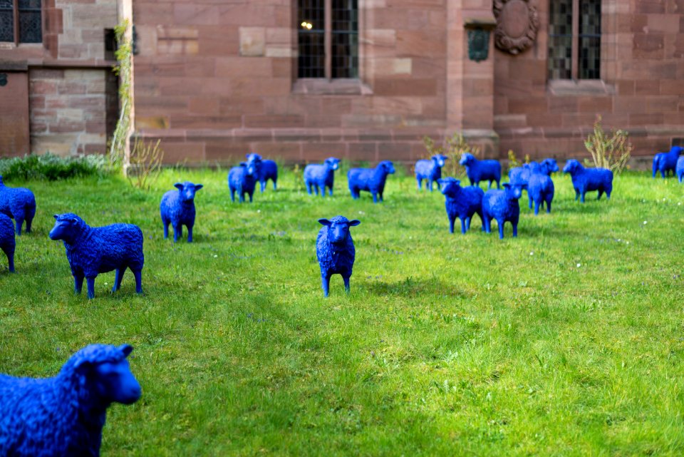 Blue sheep in Basel Minster photo