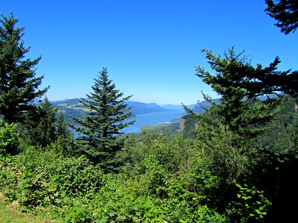 Columbia River Gorge In OR