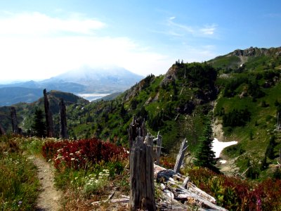 Mt. Margaret Backcountry in WA