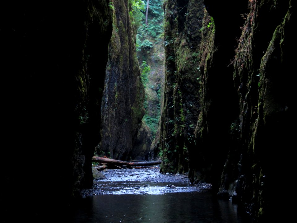 Oneonta Gorge in Oregon