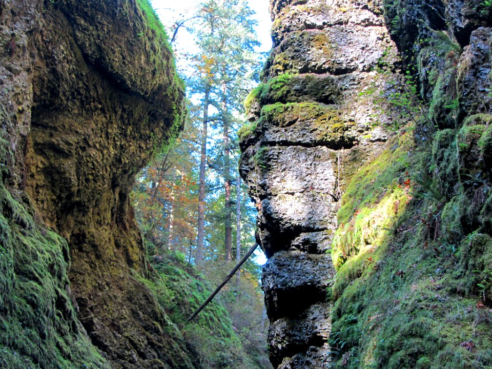 Oneonta Gorge at Columbia River Gorge in OR