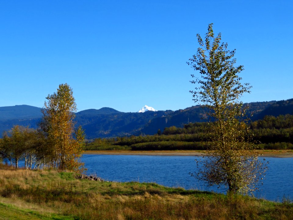 Columbia River at Steigerwald Lake NWR in WA