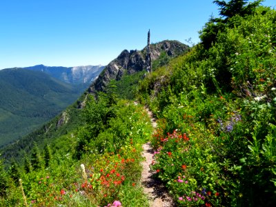 Lakes Trail at Mt. Margaret Backcountry in WA