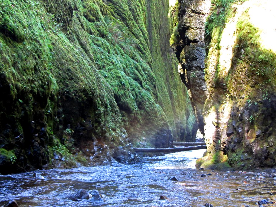 Oneonta Gorge at Columbia River Gorge in OR