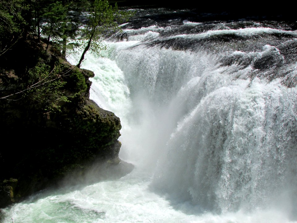 Lower Lewis River Falls Trail in WA