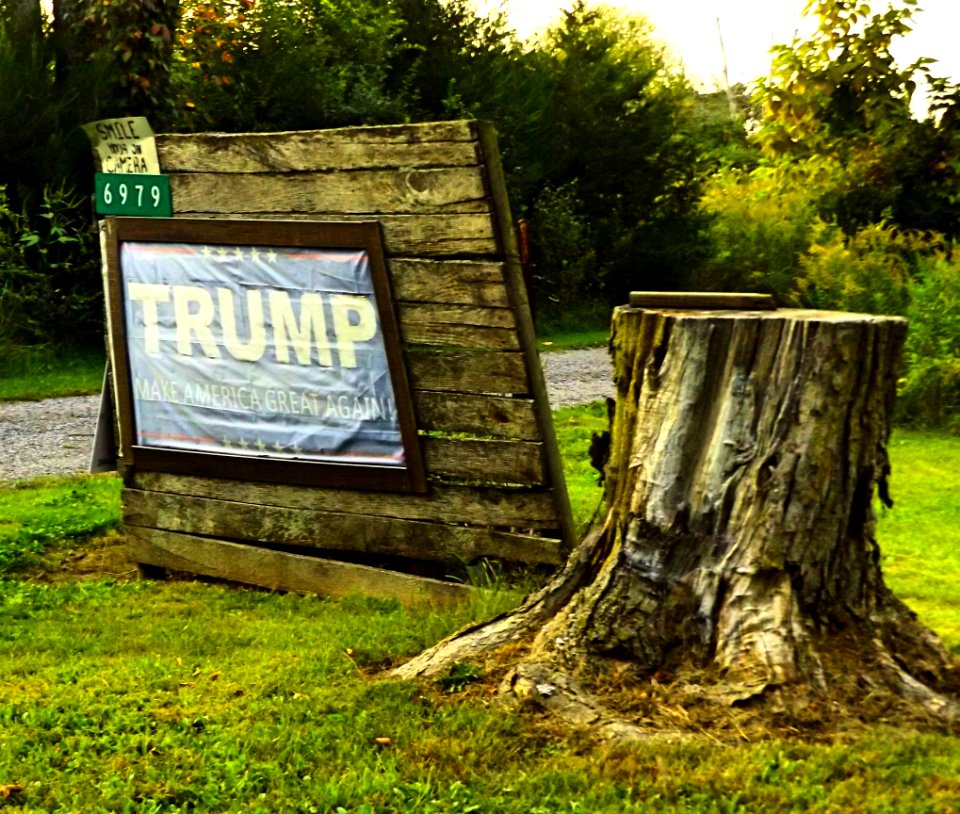 About as Trump as a Stump