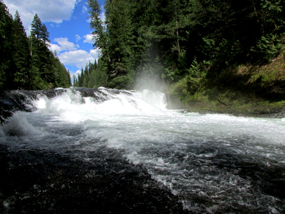 Lower Lewis River Falls Trail in WA