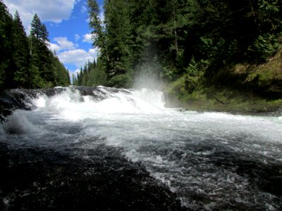 Lower Lewis River Falls Trail in WA