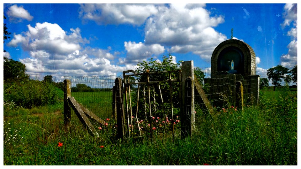 Saint Mary in the Fields