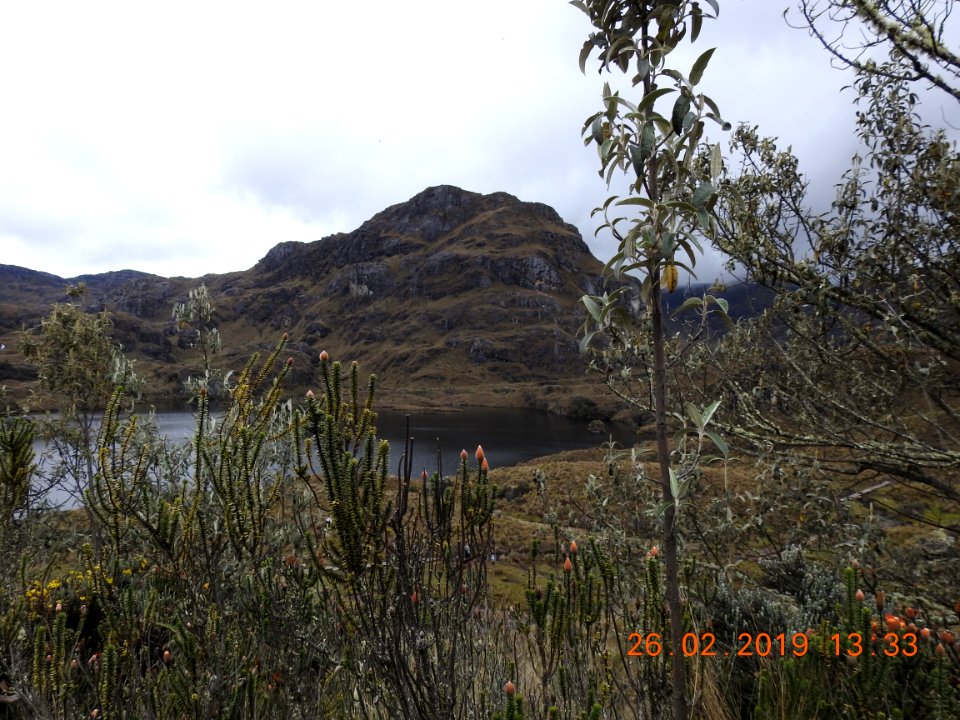DSCN2624