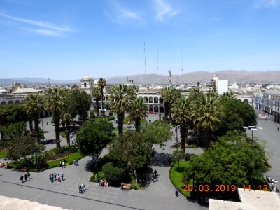 DSCN3941