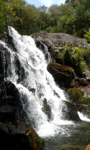 Forest cascade rio