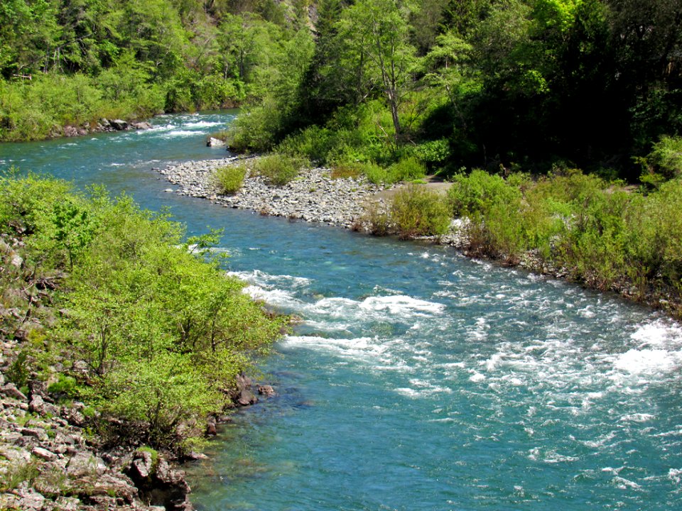 Smith River at Jedediah Smith Redwoods SP in California