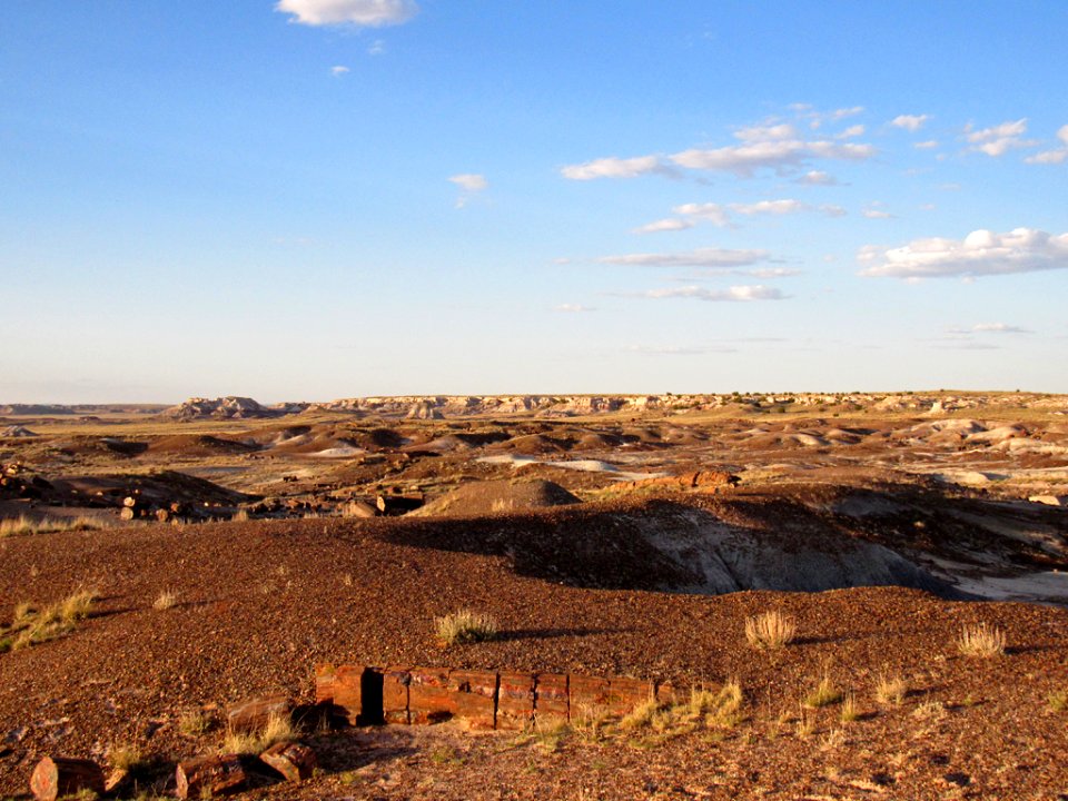 Crystal Forest at Petrified Forest NP in Arizona
