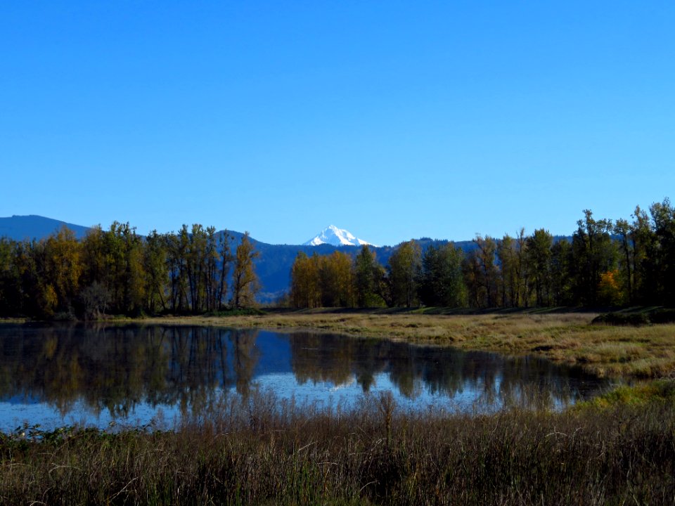 Autumn at Steigerwald Lake NWR in WA