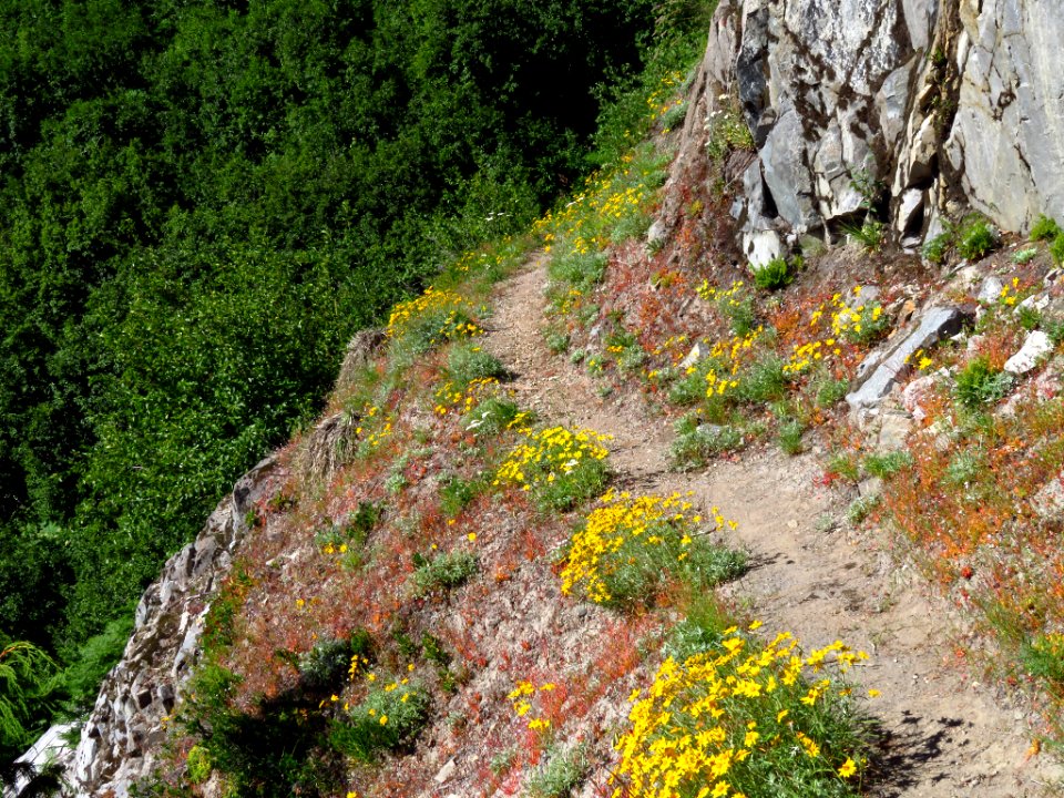 Lakes Trail at Mt. Margaret Backcountry in WA