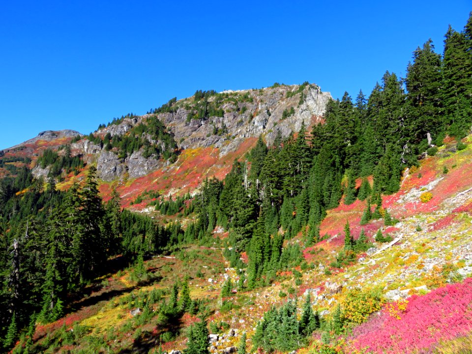 Autumn at Yellow Aster Butte in WA