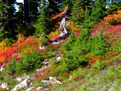Autumn at Artist Point in WA