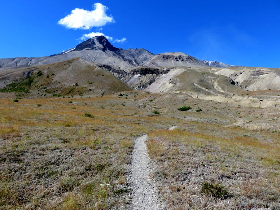 Truman / Loowit Trail at Mt. St. Helens NM in WA