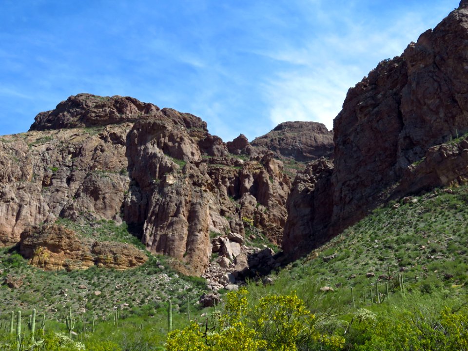 Organ Pipe Cactus NM in AZ