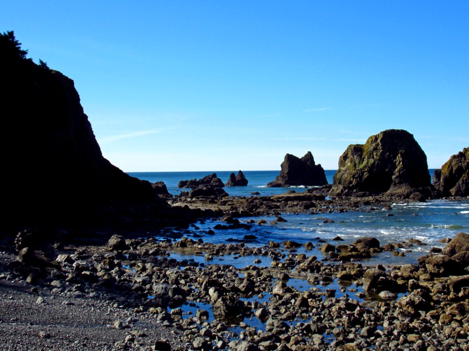 Low Tide at Pacific Coast in OR photo