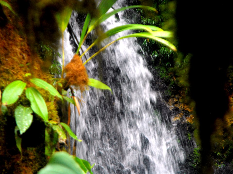 DSCF0111