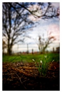 Spring is Coming
