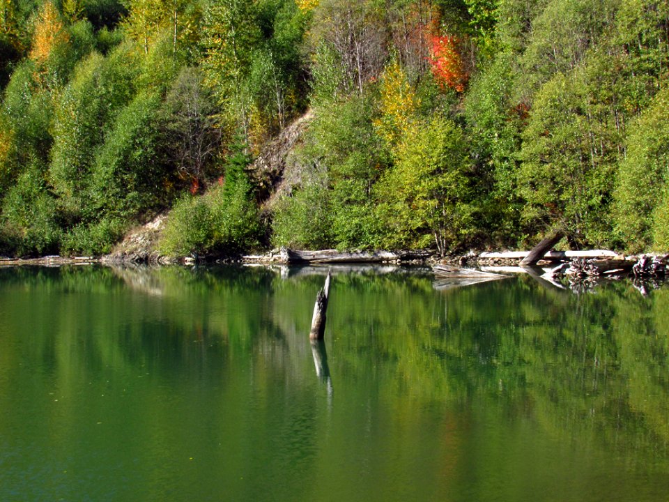 Coldwater Lake Loop Trail in WA