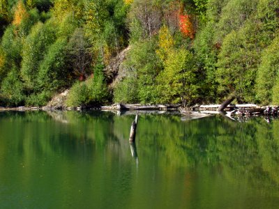 Coldwater Lake Loop Trail in WA