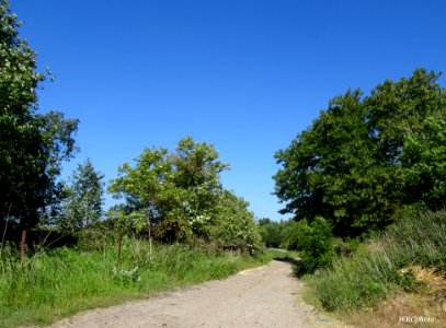 Chemin de campagne. photo