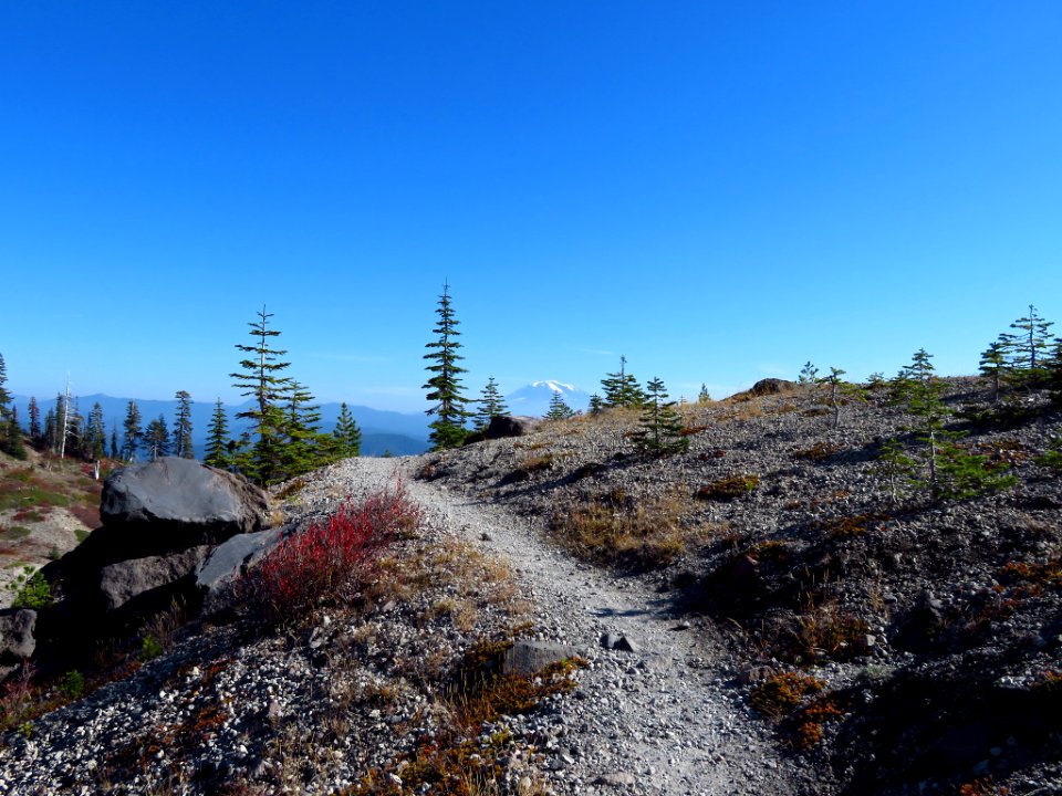 Ape Canyon Trail in WA
