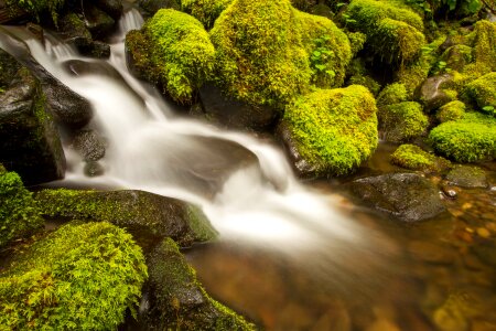 Rocks moss creek photo