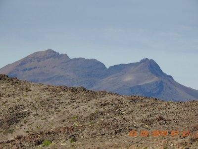 DSCN4234